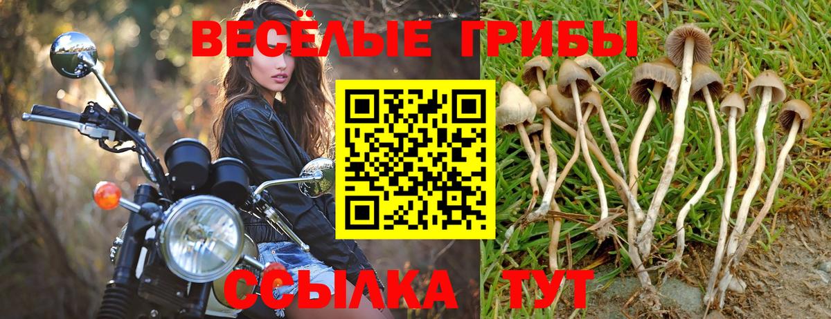 Галлюциногенные грибы прущие грибы  Псилоцибиновые грибы MAGIC MUSHROOMS  Вязьма  Вход с VPN 