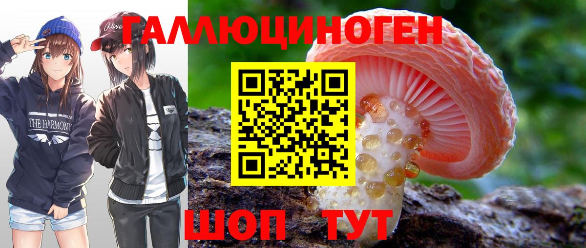 Галлюциногенные грибы MAGIC MUSHROOMS Вязьма